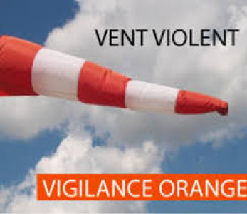 VENT VIOLENT ORANGE.jpg