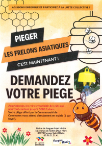 Lutte contre le frelon asiatique