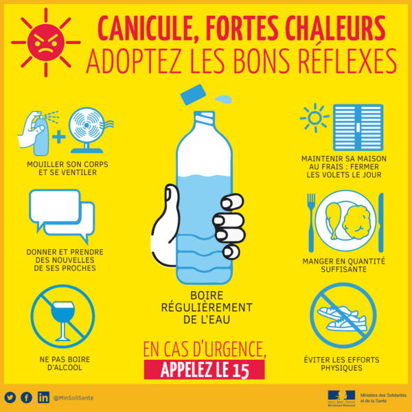 BONS GESTES CANICULE