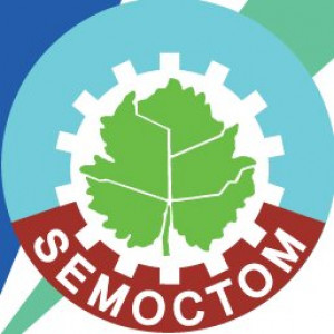 SEMOCTOM LOGO.jpg