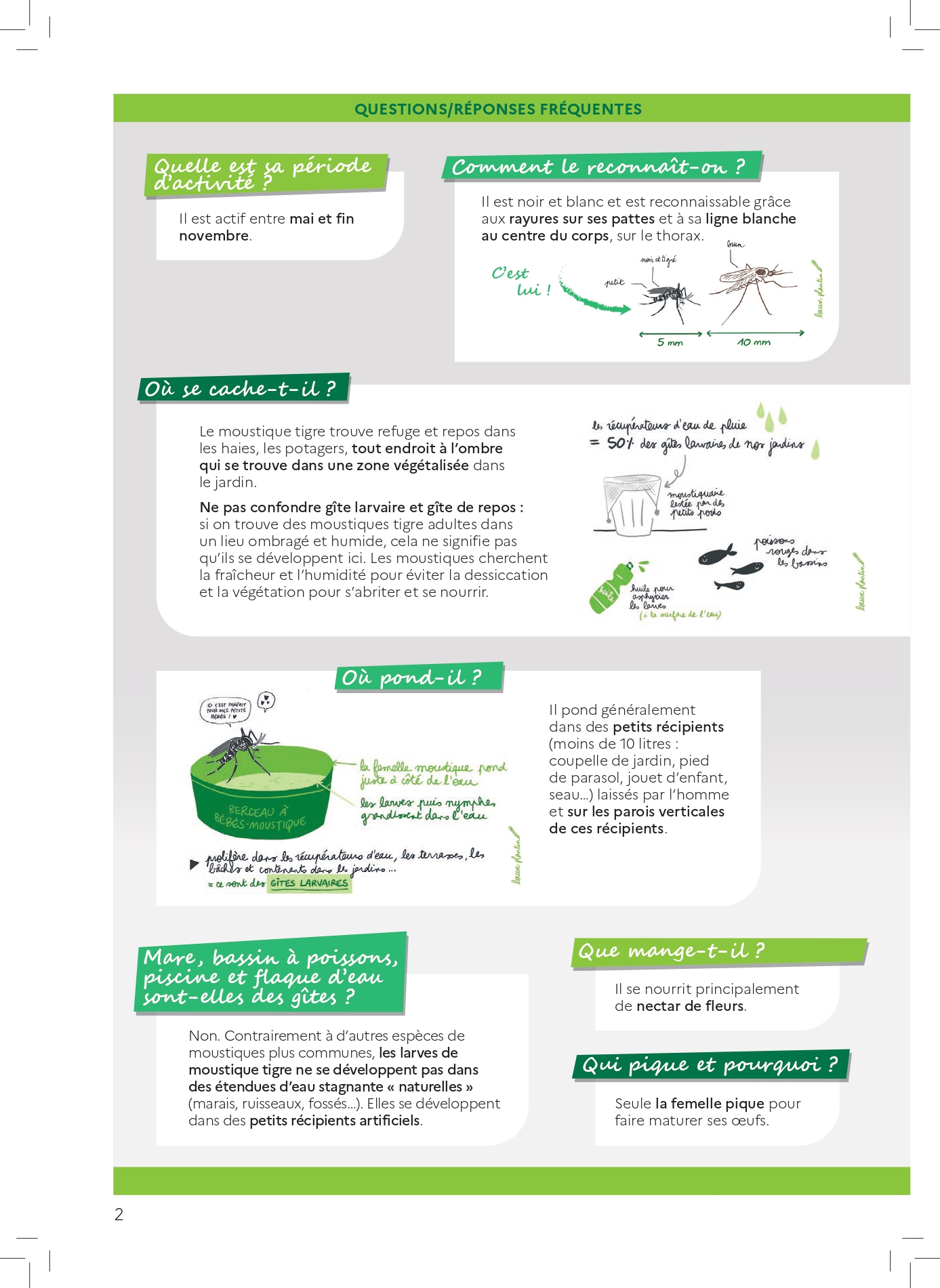 FAQ Moustique Tigre Questions Reponses 2024 page 0002