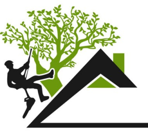 Campagne hivernale d&#039;élagage