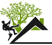 Campagne hivernale d&#039;élagage